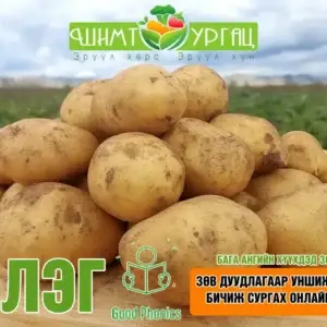 Төмс (Шуудайгаар) – Гала сорт