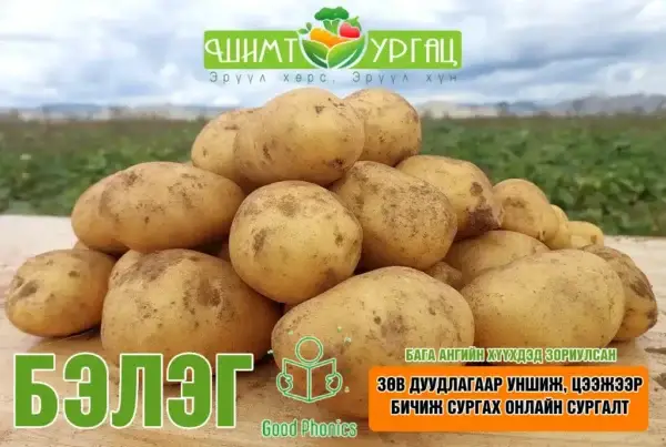 Төмс (Шуудайгаар) - Гала сорт